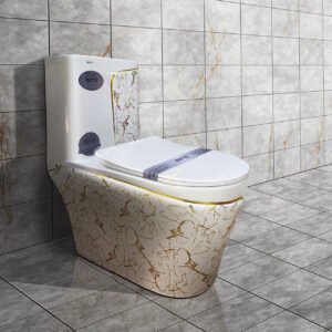 Bàn cầu liền khối cao cấp SETO-12307BTJ
