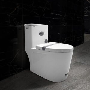 Bàn cầu liền khối cao cấp SETO-12296