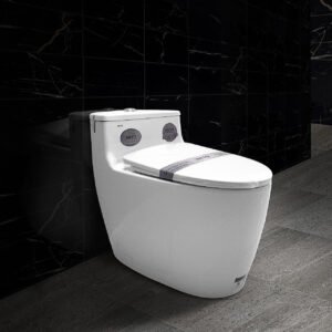 Bàn cầu liền khối cao cấp SETO-12303