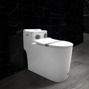 Bàn cầu liền khối cao cấp SETO-12265