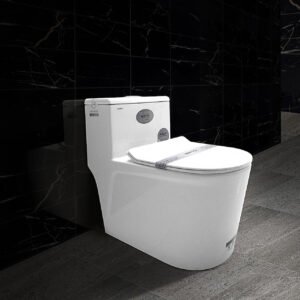 Bàn cầu liền khối cao cấp SETO-1J2