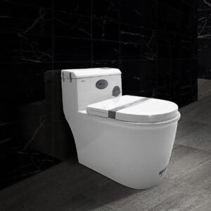 Bàn cầu liền khối cao cấp SETO-12214