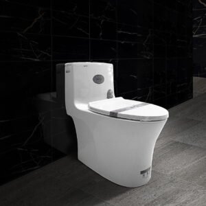 Bàn cầu liền khối cao cấp SETO-12282