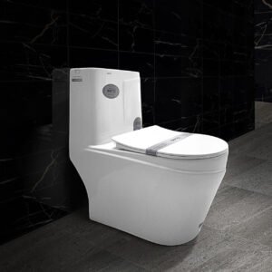 Bàn cầu liền khối cao cấp SETO-12307