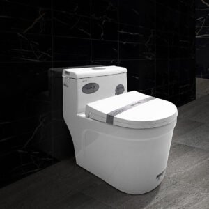 Bàn cầu liền khối cao cấp SETO-12238