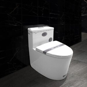 Bàn cầu liền khối cao cấp SETO-1BW2