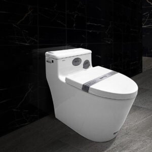 Bàn cầu liền khối cao cấp SETO-12301B