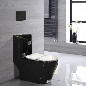 Bàn cầu liền khối cao cấp SETO-12307A