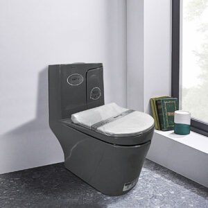 Bàn cầu liền khối cao cấp SETO-12307HH