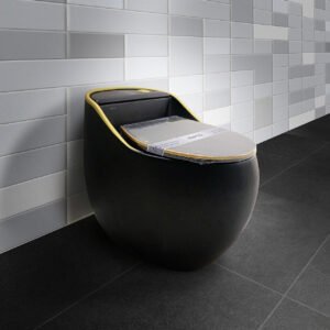 Bàn cầu thời trang Luxury SETO-1S8BG