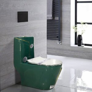 Bàn cầu liền khối cao cấp SETO-12307GG