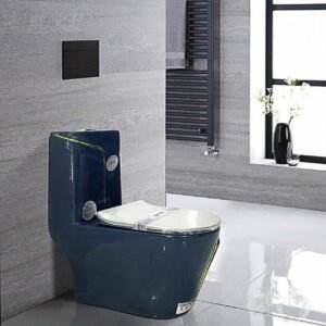 Bàn cầu liền khối cao cấp SETO-12307BG