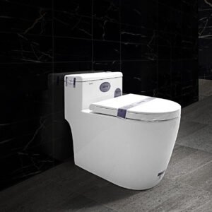 Bàn cầu liền khối cao cấp SETO-1W2