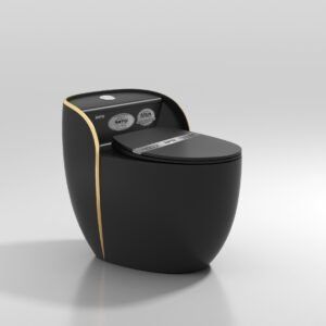 Bàn cầu thời trang Luxury SETO-1S16BG