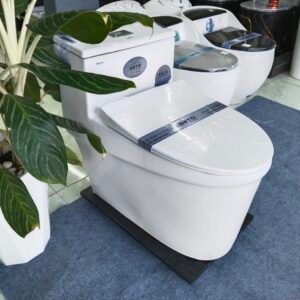 Bàn cầu liền khối cao cấp SETO-12289