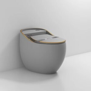 Bàn cầu thời trang Luxury SETO-1S8GG