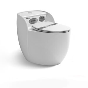 Bàn cầu thời trang Luxury - ST10025
