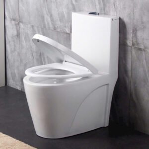 Bàn cầu liền khối cao cấp SETO-122