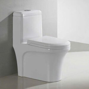 Bàn cầu liền khối cao cấp SETO-ST1221